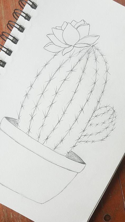 Draw A Cactus Easy, Cactus In Pot Drawing, Full Paper Drawings Easy, Drawing Of Cactus, Cactus Easy Drawing, Drawing Cactus Easy, Cactus With Flowers Drawing, Easy Drawings For Beginners Flowers, Easy Nature Doodles