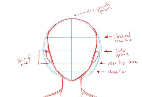 Proper proportions Anime Face Drawing, How To Draw Anime, Face Template, Anime Face, Anime Head, Drawing Heads, Drawing Faces, Draw Anime, Drawing Templates