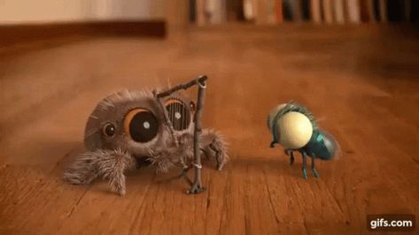 Spider Fly GIF - Spider Fly Playing Music - Discover & Share GIFs Fly Gif, Lucas The Spider, Spider Fly, Swag Party, Jumping Spider, Plant Wallpaper, Beautiful Music, The Spider, Fox Art