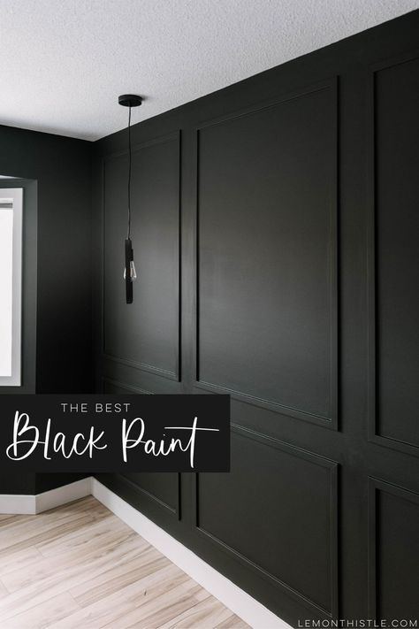 Paint For Walls, Black Walls Bedroom, Black Painted Walls, Black Feature Wall, Black Paint Color, Black Accent Walls, Black Rooms, Salon Suites, Black Room