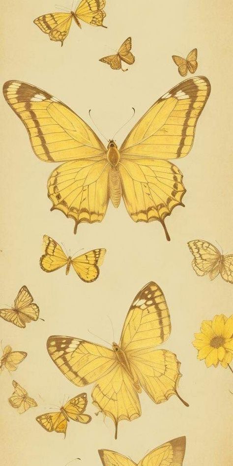 Butterfly Vintage Wallpaper, Yellow Wallpapers, Yellow Aesthetic Pastel, Yellow Butterflies, Butterfly Vintage, Aesthetic Yellow, Yellow Theme, Print Design Art, Yellow Iphone