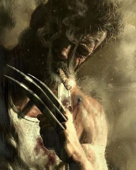 Wolverine Wallpaper, Hd Iphone Wallpaper, Old Man Logan, Wolverine Comic, Logan Howlett, Wolverine Art, Arte Peculiar, Wolverine Hugh Jackman, Marvel Xmen