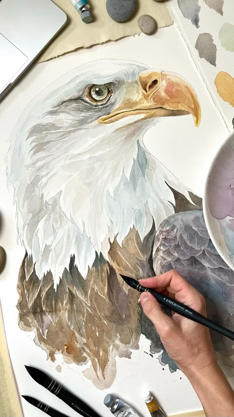 Irene Meniconi | Animal watercolor artist (@irenemeniconi) • Instagram photos and videos Eagle Portrait, 2023 Watercolor, Eagle Drawing, Watercolor Paintings Of Animals, Eagle Painting, Bird Watercolor Paintings, Animal Watercolor, Animal Drawings Sketches, Animal Illustration Art