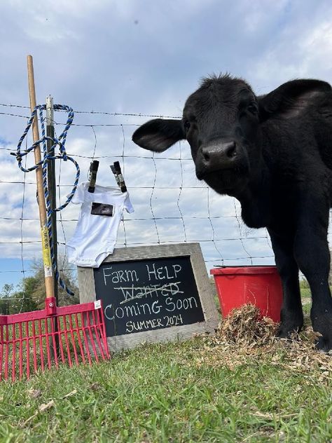 Farm Gender Reveal Ideas, Farm Baby Announcement, Western Pregnancy Announcement, First Baby Announcements, Cute Pregnancy Announcement, Western Baby, Western Babies, Farm Baby