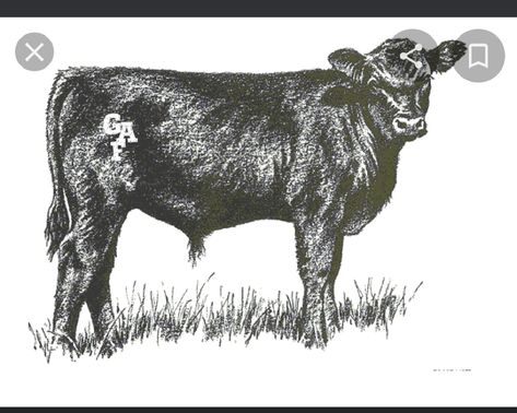 Angus Cow Art, Cow Clip Art, Western Drawings, Cow Icon, Cow Sketch, Black Angus Cattle, Theater Props, Angus Cow, Beef Cow