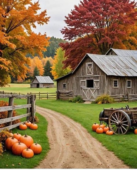 Barn Photoshoot Ideas, Ranch Landscape, Fall On The Farm, Autumn Farm, Barn Photography, Fall Farm, Country Photography, Barn Pictures, Country Barns