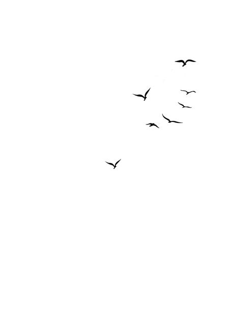 Flock Of Birds Tattoo, Tattoo Birds, Flying Bird Tattoo, Photo Widget, Flock Of Birds, Iphone App Design, Feminine Tattoos, Birds Tattoo, Fashion Attire