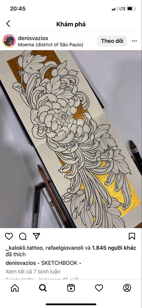 Japanese Tattoo Chrysanthemum, Tattoo Portfolio Book, Big Mandala Art, Neotrad Chrysanthemum, Japanese Chrysanthemum Tattoo Design, Irezumi Chrysanthemum, Neo Traditional Chrysanthemum, Japanese Style Chrysanthemum Tattoo, Chrysanthemum Drawing