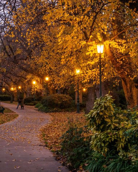 Today we're dreaming of walking through golden leaves in Rosalind Park at dusk in Bendigo 🍁 📸 via IG/explorebendigo Park In Autumn, Fall At Night, Autumn Walk Aesthetic, Golden Autumn, Autumn Walk, Fall Walk, Fall Aesthetic Vibes, Park Aesthetic, Autumn Park