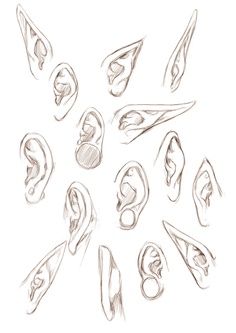 Drawing people (part 1) - Imgur Ear Shapes, Drawing Eyes, Drawing Hair, Anatomy Drawing, Anatomy Art, Drawing Tutorials, Art Tutorials Drawing, Drawing Challenge, Drawing Poses