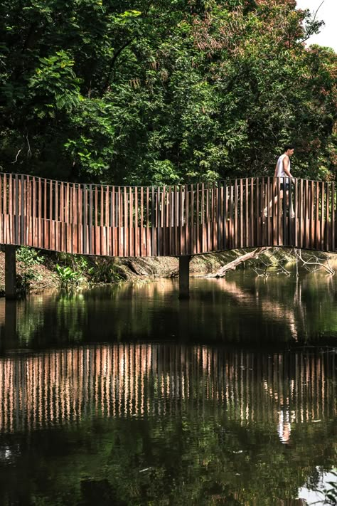 The Bird Wave Bridge Bridging the Gaps by Shma | Parks Bridge Over Water, Outdoor Bridges, Landscape Bridge, Garden Decoration Ideas, Wooden Bridge, Urban Park, Pedestrian Bridge, Bridge Design, Landscape Architects