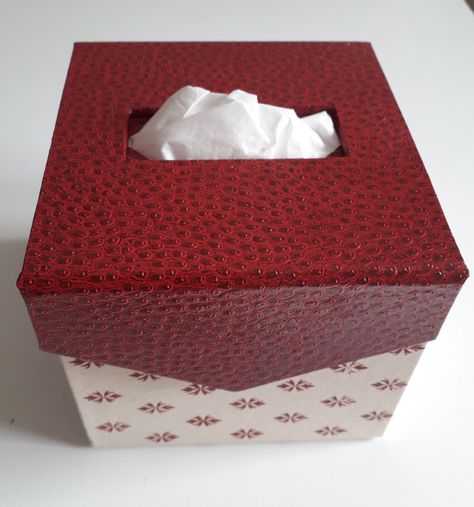 Facial Tissue, Craft Ideas, Cartonnage