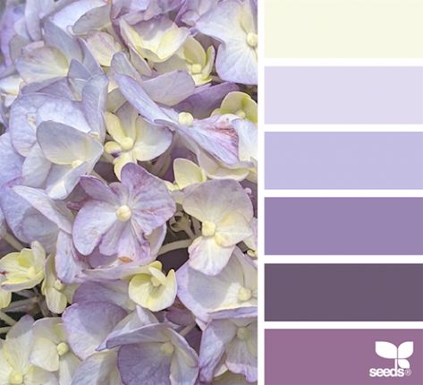 Bead Color Combos, Design Seeds Color Palette, Seeds Color Palette, Colour Catalogue, Design Seed, Colours That Go Together, Seeds Color, Color Palette Challenge, Color Catalog