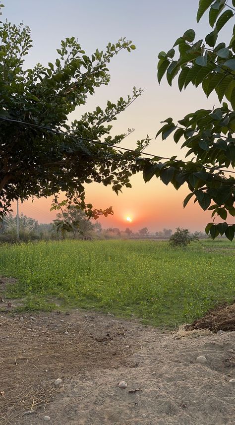 Village Photos Indian, Village Vibes, Night Street Photography, Walk In Nature, Indian Garden, Friendship Quotes Images, Art Decor Ideas, Village Photos, Snap Story