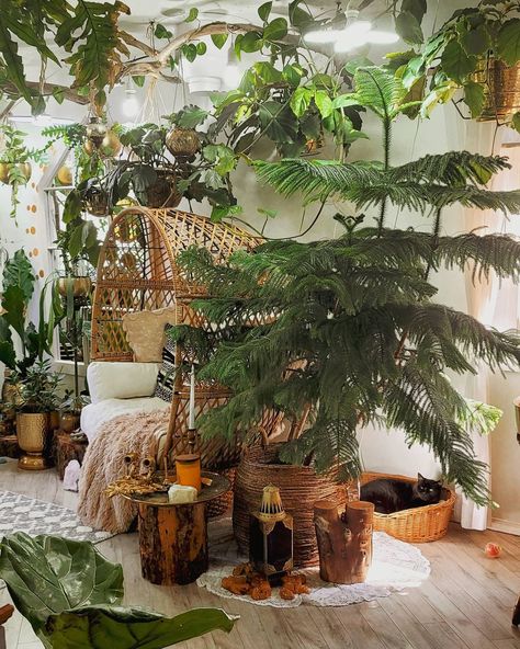 Melissa Campbell on Instagram: “Let's make full trees in houses more of a thing 😜 Bella loves nestling up under the tree its like Christmas year round for her🎄. Also sneak…” Urban Office Design, Farmhouse Cottage Living Rooms, Plant Room Aesthetic, Workspace Aesthetic, Boho Decor Inspiration, Urban Office, Jungle Bedroom, Jungle Decor, Cottage Decor Living Room