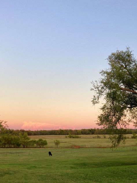 Open Land Aesthetic, Farm Sunset Aesthetic, Farm Asthetic Picture, Hill Country Aesthetic, Farm Photography Landscape, Farm Living Aesthetic, Old Farm Aesthetic, Farm Esthetics, Rural America Aesthetic