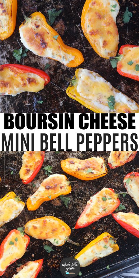 Stuffed Mini Bell Peppers, Stuffed Mini Sweet Peppers, Small Peppers, Baby Peppers, Boursin Cheese Recipes, Mini Bell Peppers, Boursin Recipes, Whole Lotta Yum, Sweet Pepper Recipes