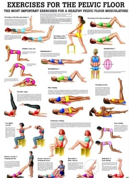 Pelvic Floor Muscle Exercise, Pelvic Floor Therapy, Pelvic Floor Exercises, Kegel Exercise, Floor Exercises, Pelvic Floor Muscles, Diastasis Recti, Post Partum Workout, Floor Workouts