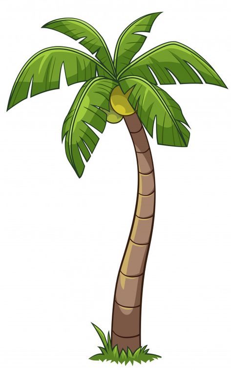 Coconut tree cartoon style Vector ... Coconut Tree Cartoon, Coconut Tree Drawing, Cartoon Palm Tree, Palm Tree Drawing, Tree Cartoon, Sketch Free, Jungle Tree, Cartoon Trees, Tree Clipart