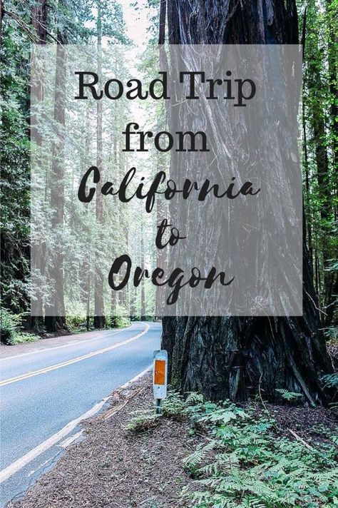 Where to eat, sleep & stay along Highway 1 and Highway 101 // Article by Making Thyme for Health Highway 101 Road Trip, Oregon Roadtrip, Highway 101, Oregon Road Trip, The Oregon Trail, West Coast Road Trip, Highway 1, Us Road Trip, Moving To California