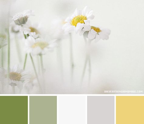 Color Palette // Daisies Secret Garden | Oh Everything Handmade Daisy Wedding Theme Color Schemes, Daisy Colour Palette, Daisy Color Palette, Daisy Wedding Theme, 1st Bday Theme, Colour Scheme Ideas, Wedding Theme Color Schemes, Secret Of Mana, Turquoise Color Palette