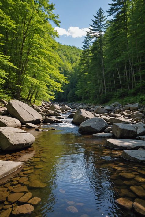 Escape to the Catskills: Finding Solitude in New York's Mountain Getaways My Quiet Life, Secluded Cabin, Diverse Beauty, The Catskills, Serene Nature, Catskill Mountains, Mountain Getaway, Adirondack Mountains, Nature Hiking