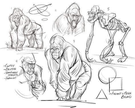 ArtStation - Gorillas, Josh Black Gorilla Drawing Reference, Monkey Anatomy Drawing, Gorilla Art Drawing, Gorilla Drawing Sketches, Gorilla Character Design, Gorilla Reference, Gorilla Anatomy, Gorilla Sketch, Gorilla Tattoo Design