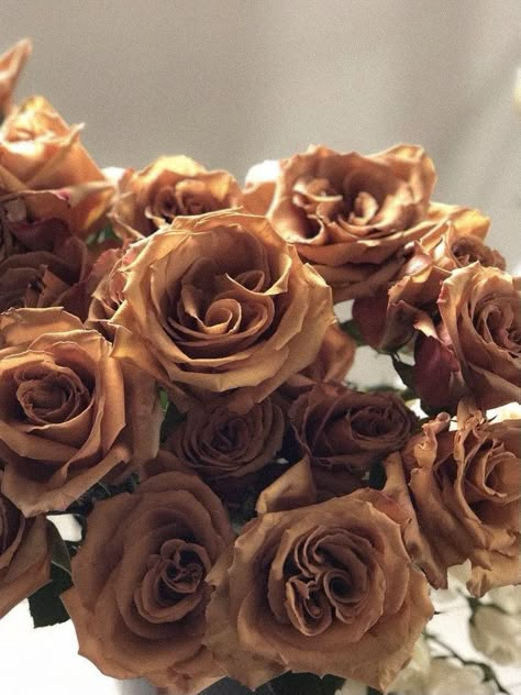 Rose Taupe Aesthetic, Brown Roses Aesthetic, Brown Feminine Aesthetic, Rosy Brown Aesthetic, Brown Flowers Aesthetic, Brown Aesthetic Vision Board, Brown Vision Board, Neutral Pictures, Asethic Pictures