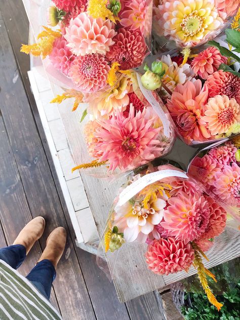 Dahlia Arrangements, Coral Dahlia, Dahlia Flower Arrangements, Aesthetic Backyard, Backyard Decorating Ideas, Flowers For Garden, Backyard Aesthetic, Backyard Decorating, Landscape Backyard