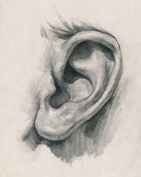 #portrait #drawing #tutorial How To Draw Ears, Ear Art, Human Anatomy Art, Anatomy Sketches, Arte Sketchbook, Portrait Sketches, Anatomy Drawing, Pencil Art Drawings, Art Drawings Sketches Creative