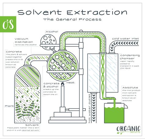 Oil Distiller, Chemistry Lab Equipment, Essential Oil Distiller, Essential Oil Extraction, Making Essential Oils, Essential Oils Guide, Endocannabinoid System, Steam Distillation, Survival Life Hacks