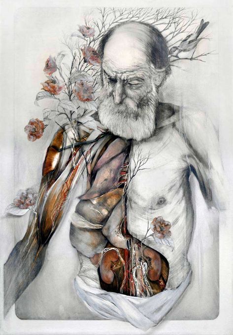 Nunzio Paci, Poetic Paintings, Decay Art, Art Alevel, Medical Art, Male Character, Gcse Art, A Level Art, Anatomy Art