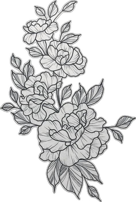 Carnations Drawing, Marigold Tattoos, Carnation Drawing, Carnation Design, Carnation Flower Tattoo, Marigold Tattoo, Carnation Tattoo, Sisters Tattoo, Chrysanthemum Tattoo