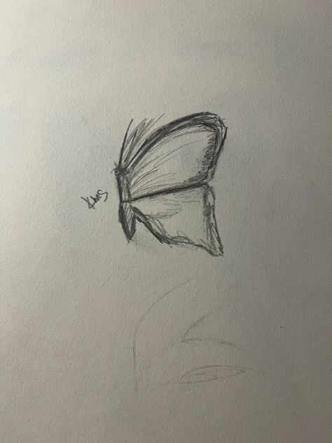 art, arts, drawing, drawings, inspiration, inspo, art inspo, art inspiration, simple art, simple drawing, butterfly, butterflies, insect, insects, bug, bugs, drawing, drawings, butterfly picture, butterfly drawing, butterfly drawings Simple Insect Drawing, Insect Drawing Simple, Insect Sketches Simple, Bugs Drawing Sketches, Art Simple Drawing, Black And White Bug Drawing, Sketchbook Portfolio, Fly Sketch Insect, Butterfly Drawings