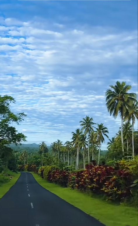 Pacific Islander Aesthetic, Palau Aesthetic, Samoan Aesthetic, Samoa Aesthetic, 2024 Loading, Moana Aesthetic, Travel To Fiji, South Pacific Islands, Polynesian Art