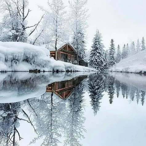 Just a cozy place... - 9GAG Winter Szenen, Winter Cabin, Winter Scenery, Winter Beauty, Snow Scenes, A Cabin, Winter Pictures, Winter Wonder, Cabin In The Woods