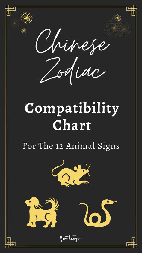 Chinese Zodiac Compatibility Chart For The 12 Animal Signs | YourTango Chinese Astrology Chart, Chinese Zodiac Signs Compatibility, Chinese Zodiac Compatibility, Pig Chinese Zodiac, Horse Zodiac, Pig Zodiac, 12 Chinese Zodiac Signs, Astrology Signs Compatibility, Dog Zodiac