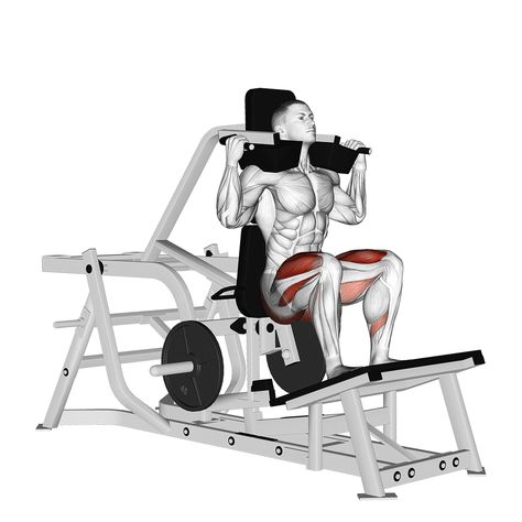 Back Workout Bodybuilding, Muscle Booster, Seated Leg Curl, Hack Squat, Captains Chair, Barbell Deadlift, Squat Machine, Gym Gifts, Smith Machine