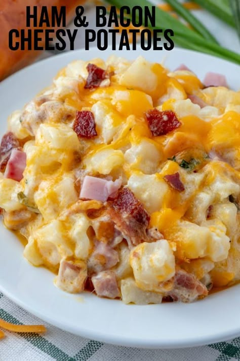 Hearty, creamy and flavorful these Cheesy Potatoes are filled with bits of ham, crumbled bacon, loads of cheese and is bursting with flavor in each and every bite. #potatoes #sidedish #cheesy #bacon #ham #recipes Bacon Cheesy Potatoes, Easter Smores, Casserole With Hashbrowns, Breakfast Casserole With Hashbrowns, Cheesy Potatoes Recipe, Breakfast Meat, Diced Potatoes, Hash Brown, Cheesy Potatoes