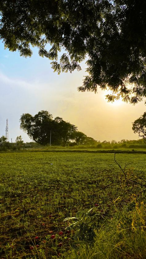 Sunrise 
Sunrise in Village
Nature Scene
Sunrise Photography Natural Village Pic, Morning Nature Snap, Village Vibes Snap, Village Morning Snap, Village Vibes Aesthetic, Village Morning Photography, Sun Rise Photography Mornings, Morning View Snapchat, Morning View Snap