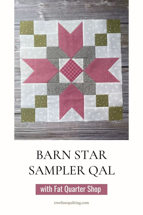 Quilt block 8 for the Barn Star Sampler Quilt Along.  The Farmer's Star block is made from Sweetwater fabrics in pink, green, gray, and white.  It is made with nine patch corners, flying geese and sew and flip squares for the side and a square in a square block in the middle. 16 Inch Quilt Blocks, Star Quilt Blocks Pattern, Star Quilt Patterns Free, Star Sampler Quilt, Quilt Blocks Easy, Snowman Quilt, Quilt Book, Quilt Blocks Patterns, Barn Quilt Designs