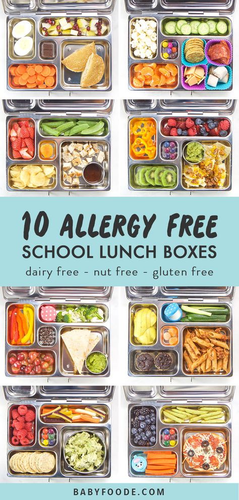 Gluten Free School Lunches, School Lunch Box Ideas, Food Restrictions, Dairy Free Lunch, Nut Free Snacks, Cheap Clean Eating, Lunch Box Ideas, Gluten Free Kids, School Lunch Ideas