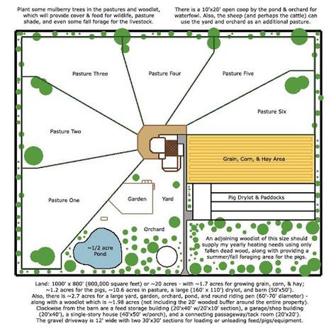 Homestead Plans, Homestead Layout, Raising Pigs, Backyard Farm, Farm Plans, Farm Layout, Homestead Farm, Barn Plans, Farm Stuff