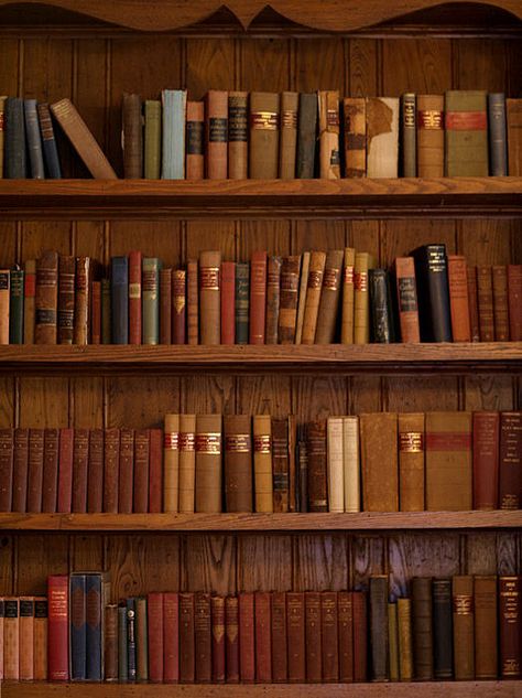 Lots Of Books, Library Inspiration, Vintage Bookcase, Beautiful Library, Tea And Books, Book Wall, Book Wallpaper, Well Read, Books Vintage