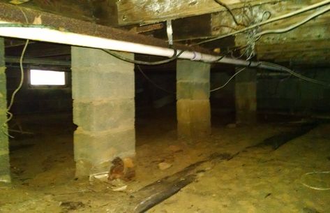 Crawlspace Mold Mold In Crawl Space, Crawl Space Ventilation, Diy Crawlspace, Diy Mold Remover, Mold In Basement, Cavity Wall Insulation, Mold Prevention, Black Mold, Cavity Wall