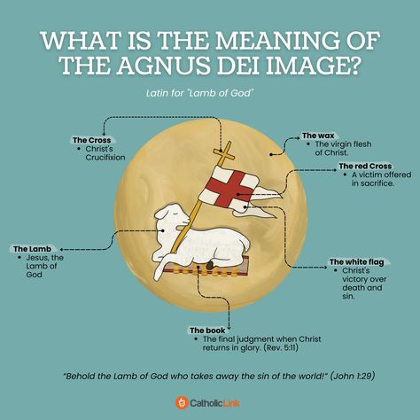 What Is The Meaning Of The Agnus Dei Image? Thomas Aquinas Quotes, Starting A Bible Study, Jesus Facts, Catholic Beliefs, Agnus Dei, Jesus Mary And Joseph, Novena Prayers, Faith Formation, Sermon Notes