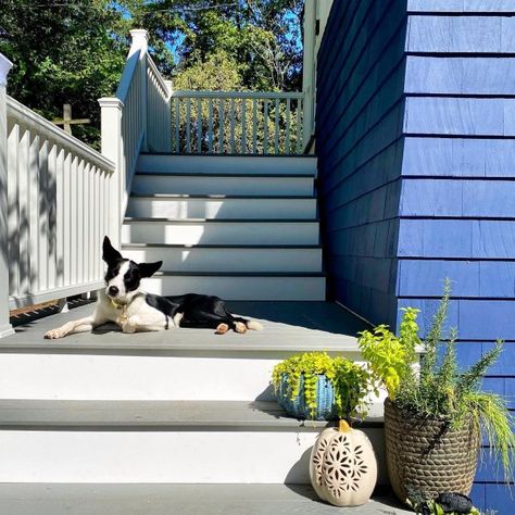 In the Navy SW 9178 - Neutral Paint Color - Sherwin-Williams In The Navy Sherwin Williams, Navy Paint Color, Navy Paint Colors, Sherwin Williams Exterior, Blue Paint Color, Navy Paint, Neutral Paint Color, Neutral Paint Colors, Blue Paint Colors