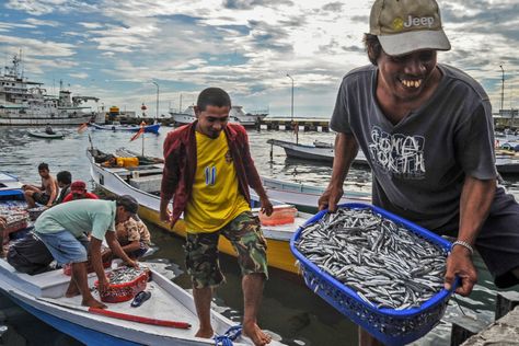 Fishing is integral to millions of Indonesians’ livelihoods and identities, with an estimated 2.5 million households involved in small-scale (non-industrial) fishing and aquaculture. Small-scale fishing includes a wide variety of activities, from subsistence harvesting to fish processing, and is performed by individuals, informal fishers’ groups, and even formal private sector businesses. But despite Indonesia’s rich […] Alt Family, Araling Panlipunan Design, Sustainable Development Projects, Kuala Selangor, Economics Project, Landscape Sketches, North Sulawesi, South Sulawesi, Sustainable Fishing