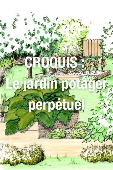 Le jardin potager perpétuel en permaculture Plan Potager, Food Forest Garden, Dance Basics, Permaculture Design, Dug Up, Diy Wall Art Decor, Diy Greenhouse, Green With Envy, Food Forest