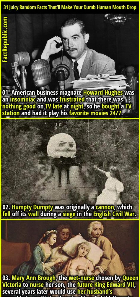 Weird True Stories, Funny Weird Facts, Interesting Facts About Humans, Mind Blowing Thoughts, Weird Fun Facts, Weird History Facts, World History Facts, Human Mouth, Creepy History